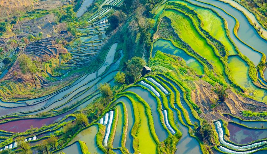 酉阳产品视频拍摄